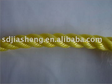 聚乙烯繩、聚丙烯繩及金屬絲繩制品 山東泰佳塑料制品廠的產(chǎn)品與制造概述